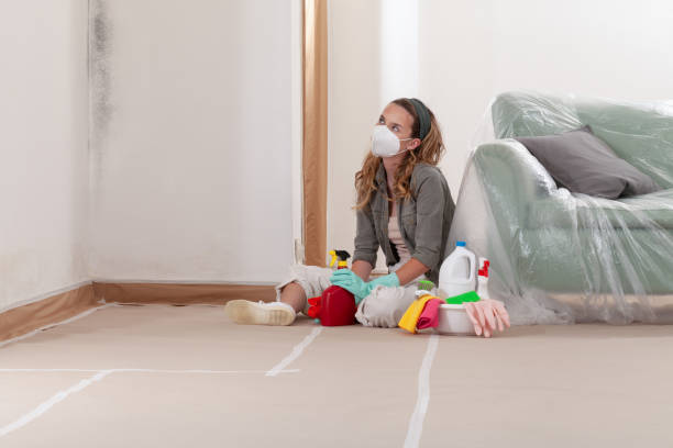 Reliable Bathroom Mold Removal contractor in West Long Branch, NJ by WQB Mold Removal